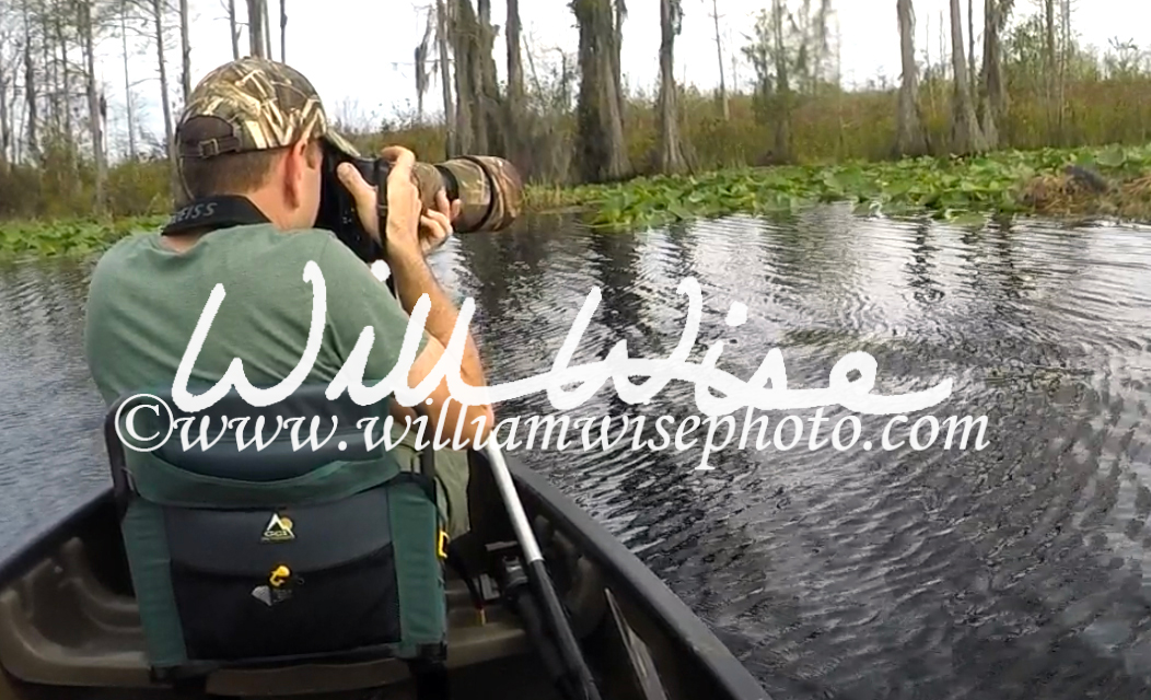 William Wise Okefenokee Photography